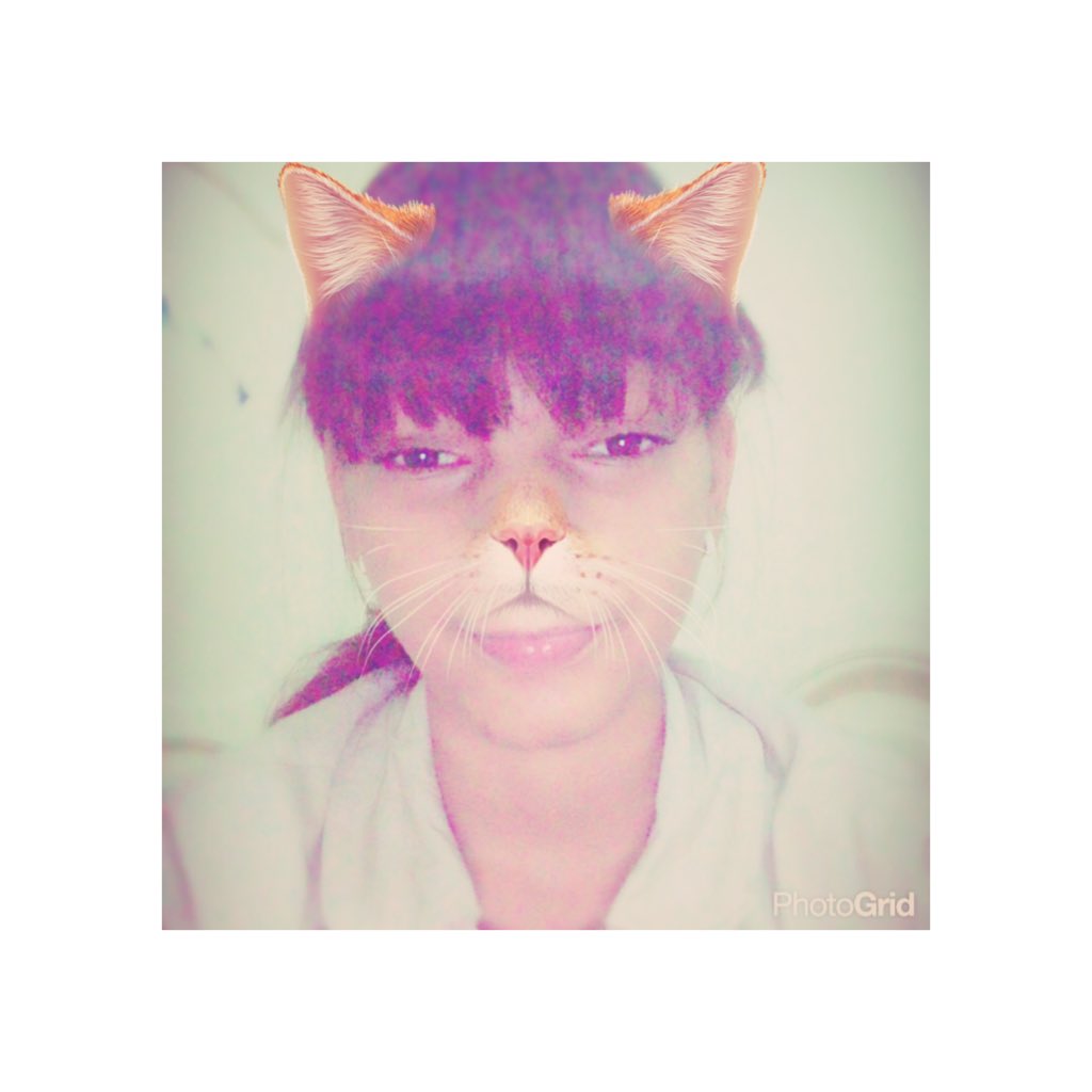 Epinalzaiire's tweet photo. La gatita🐱🐱😎😎⭐️#wooh https://t.co/e5pYGuEqUK