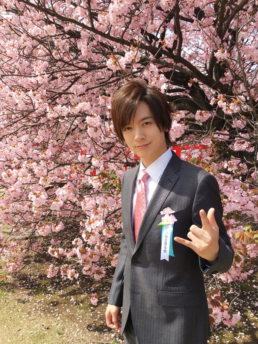 DAIGO went to see the Sakura today. 