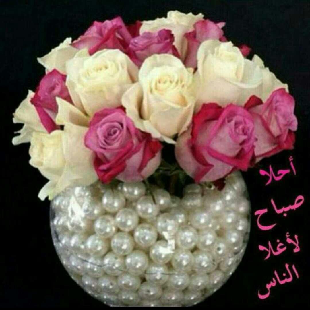 AAlseke's tweet photo. https://t.co/s6QAp5TXel
