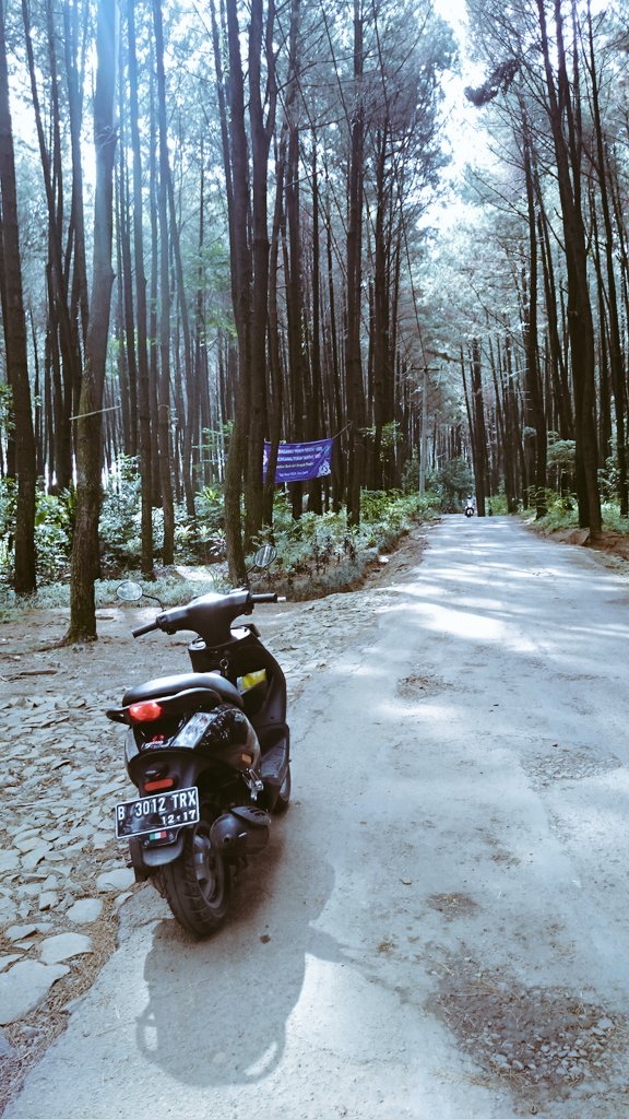 Single trip #piaggio #vespa #zip #adventure #vespakuser #orijingan #gunungpancar