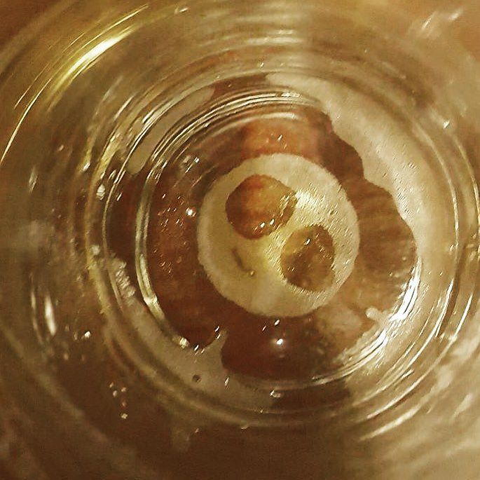 ptownjake's tweet photo. Staring at me from the bottom of my beer. #alienbeer #aiff2016 https://t.co/MF2fac1HLR https://t.co/AMOnwlPFnD