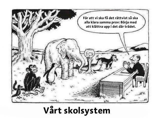 Stavenow's tweet photo. Sant sant tyvärr. #skolsystem #skola #olikavillkor #utbildning #grundskola https://t.co/AMDerYIwX8