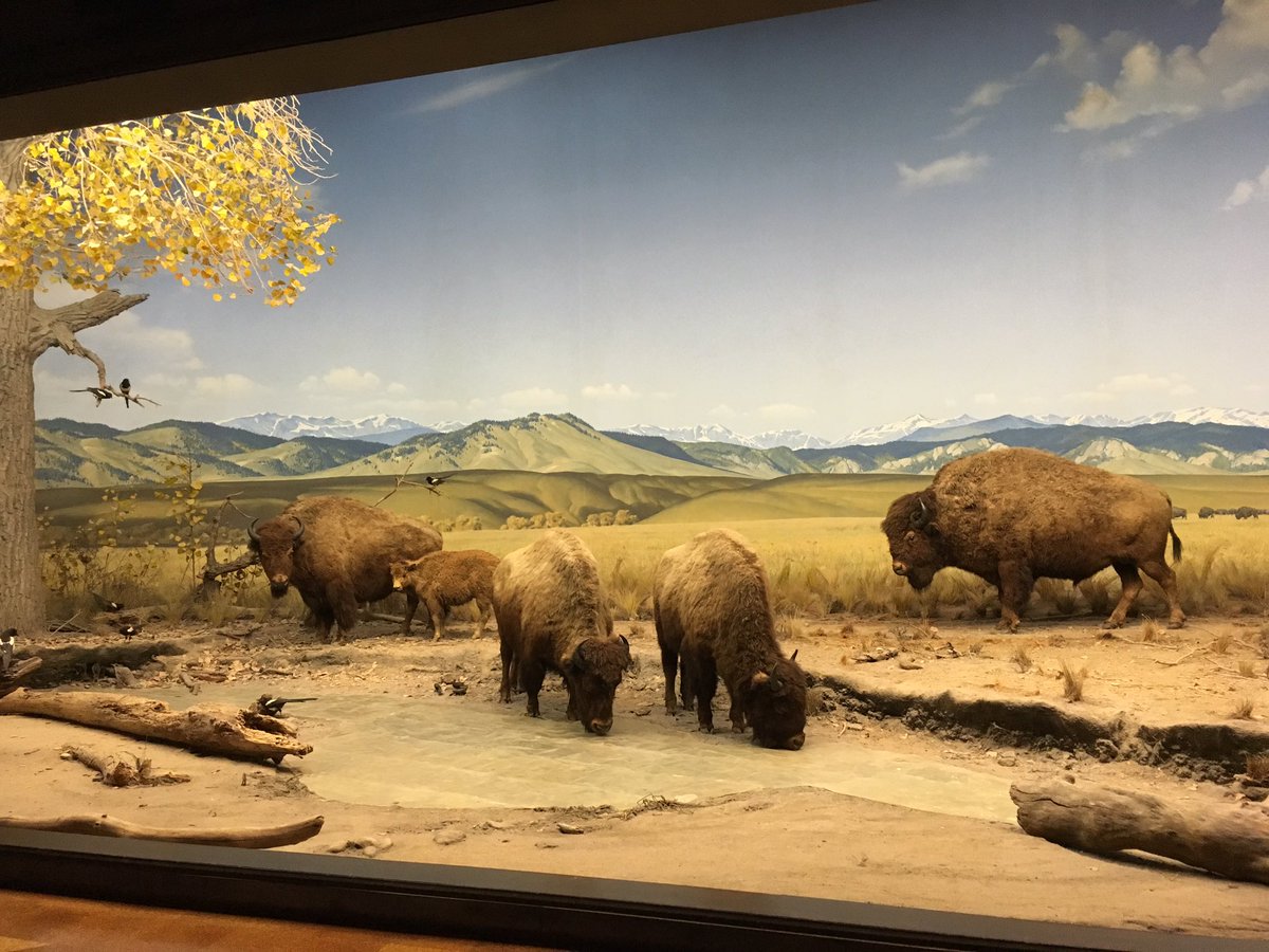 meganlawrence's tweet photo. Will be dreaming Dioramas tonight #mxww #lanhm #diorama https://t.co/dDjoZv4fSK