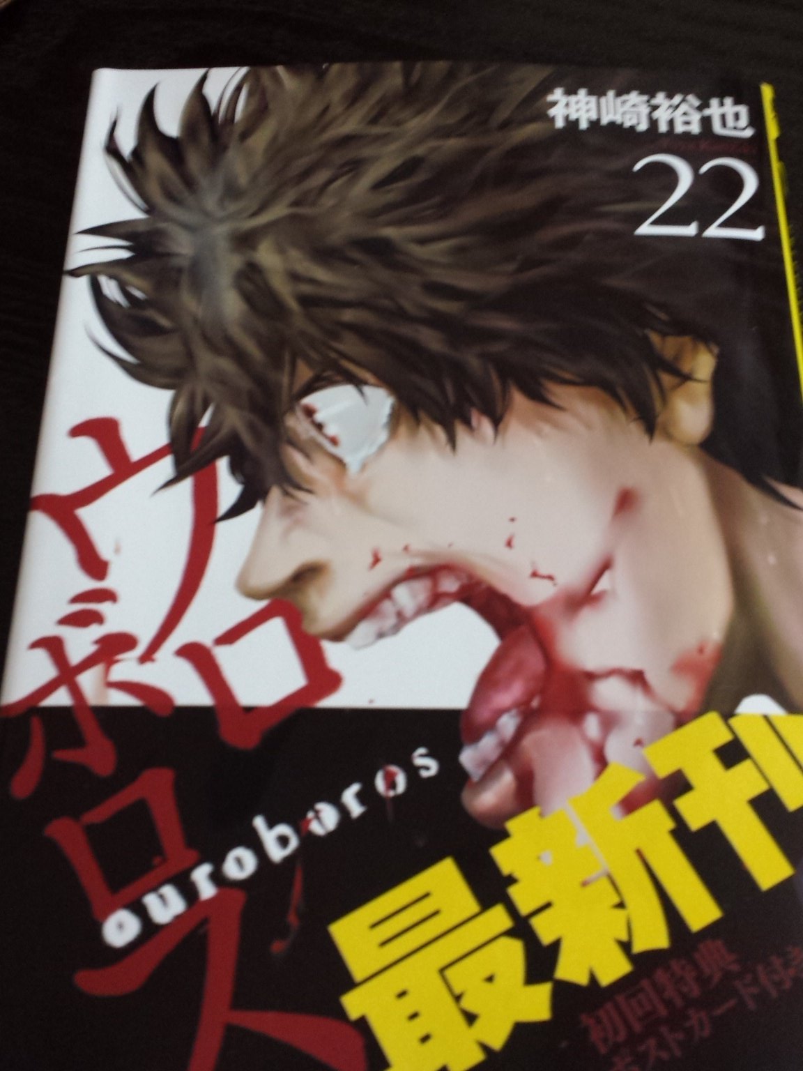 ウロボロス 漫画 22 巻 アイデア画像の図 ウロボロス 漫画 22 巻 アイデア画像の図