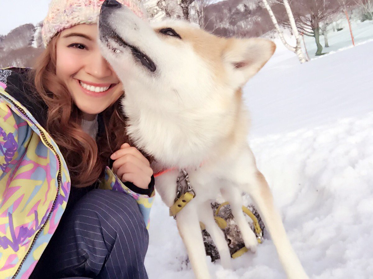 アマンダ Amanda على تويتر みんな志村どうぶつ園 みてるかなー 秋田犬pochi 日本犬の里pochi Shimurazoopochi Amandacaroline アマンダ 日テレ 志村どうぶつ園日本犬の里 世界に拡散 T Co Ntwrknbpyn アマンダ Amanda على تويتر みんな志村どうぶつ園 みてるかなー 秋田犬pochi 日本犬の里pochi Shimurazoopochi Amandacaroline アマンダ 日テレ 志村どうぶつ園日本犬の里 世界に拡散 T Co Ntwrknbpyn