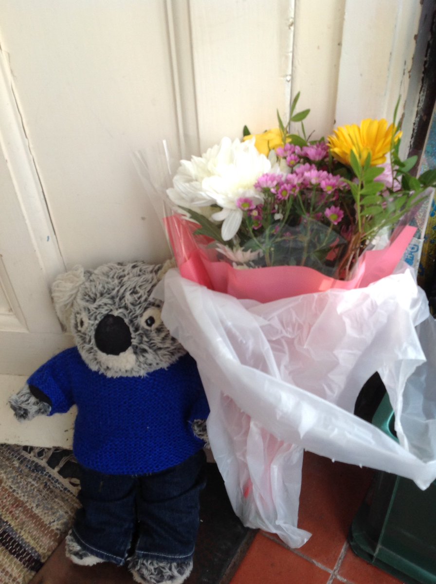 koala bear teddy tesco