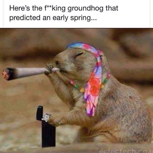 MummaWines's tweet image. Ya, smoke another one asshole. 🖕🏼#PittsburghProblems