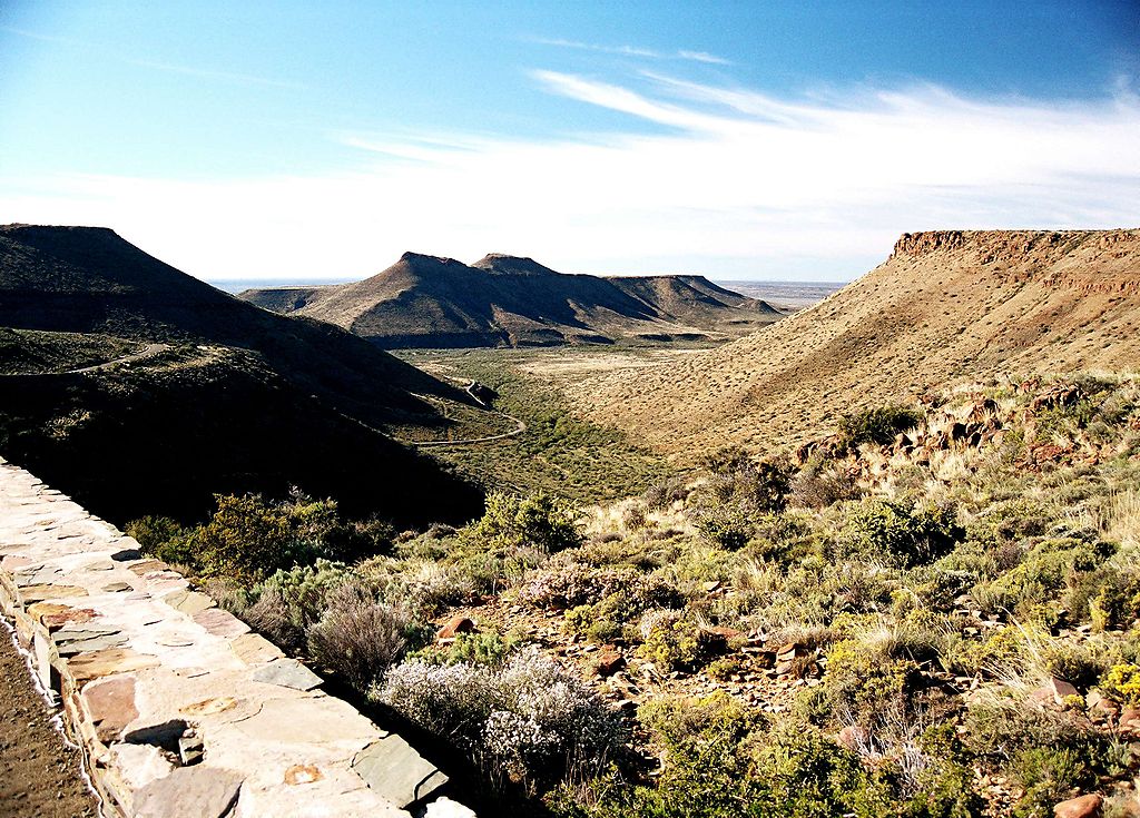 Sylvester the Karoo lion caught after latest escape news24.com/Green/News/kar…