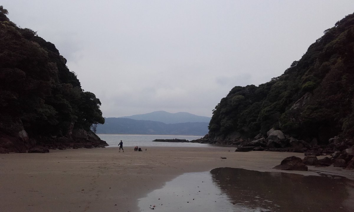 cedricsueur's tweet photo. a beautiful day on #Koshima for our project #Saru #snowmonkey https://t.co/I4MWxwJiDL