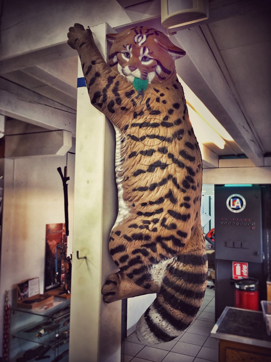 Un nouveau venu au magasin !!