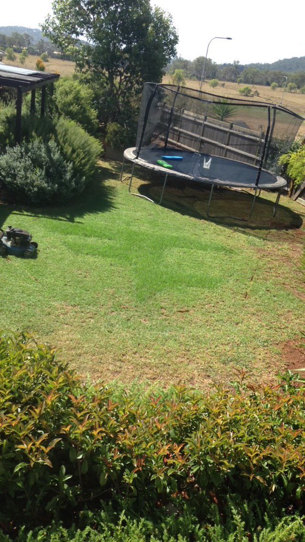 Qrossfire_'s tweet image. RT when you see it