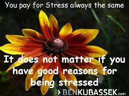 mylifenbalance's tweet image. "You pay for #stress always the same..." 

@mylifenbalance #balance #wellness #health #quotes