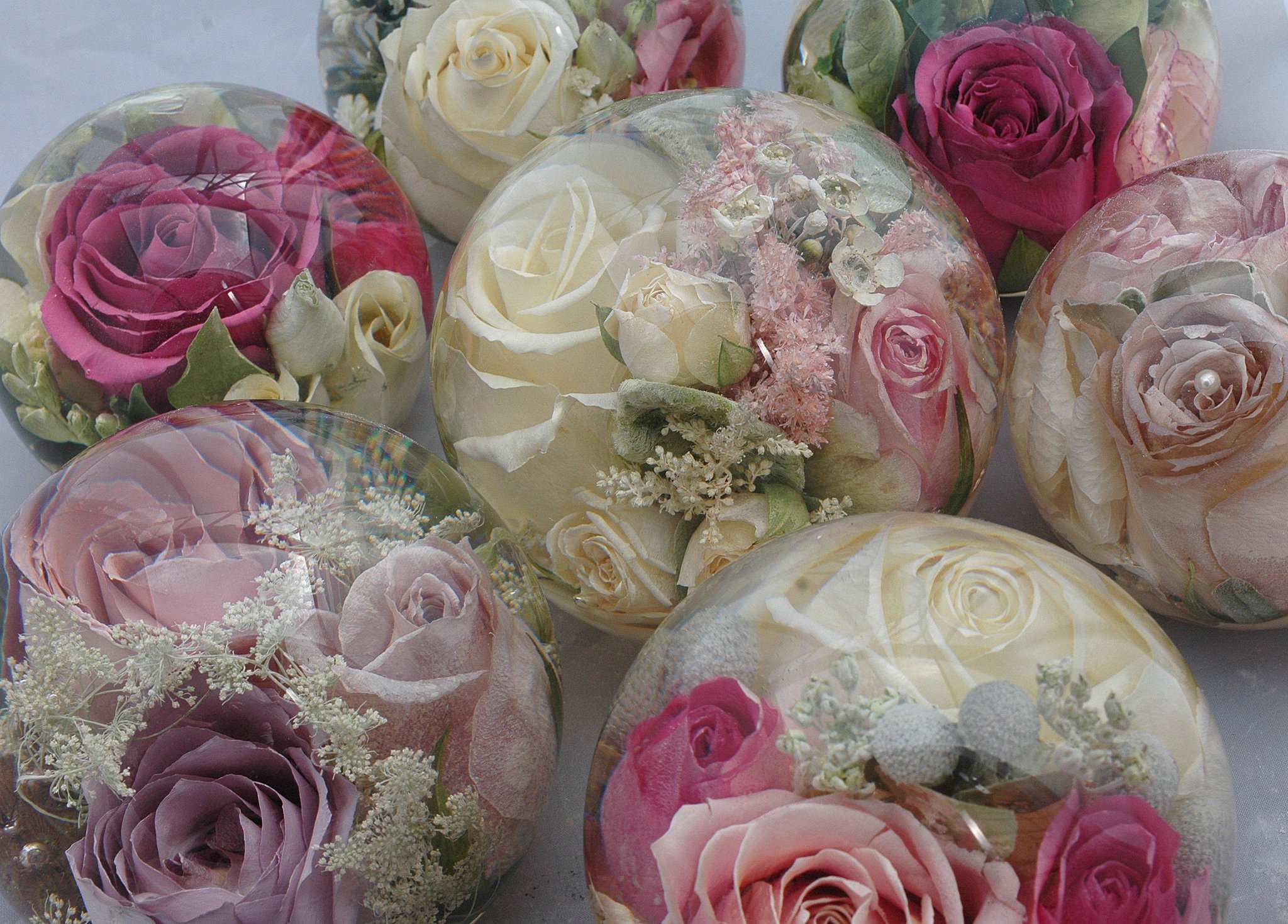 Flower Preservation on Twitter "https//t.co/SefHgnJhaU New offers