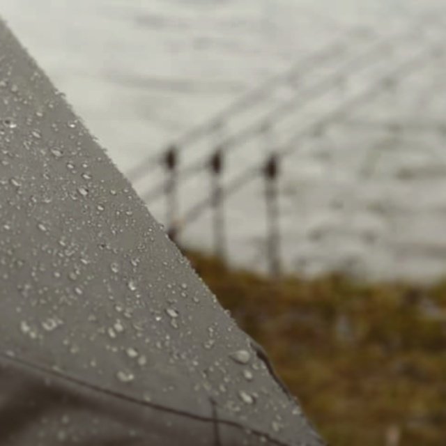 Spring and rain.
Welcome in Normandy.
<a href="/GardnerTackle/">Gardner Tackle</a> <a href="/BaitTech/">Bait Tech</a> <a href="/soniksports/">Sonik Sports</a> <a href="/Trakker_Carp/">Trakker Products</a> <a href="/Wychwoodcarp/">Wychwood Carp</a> 
#Normandie