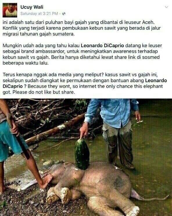 Kenapa Media kita diam tentang ini >> cc <a href="/ulinyusron/">IG: ulinyusron</a> <a href="/gm_gm/">goenawan mohamad</a>