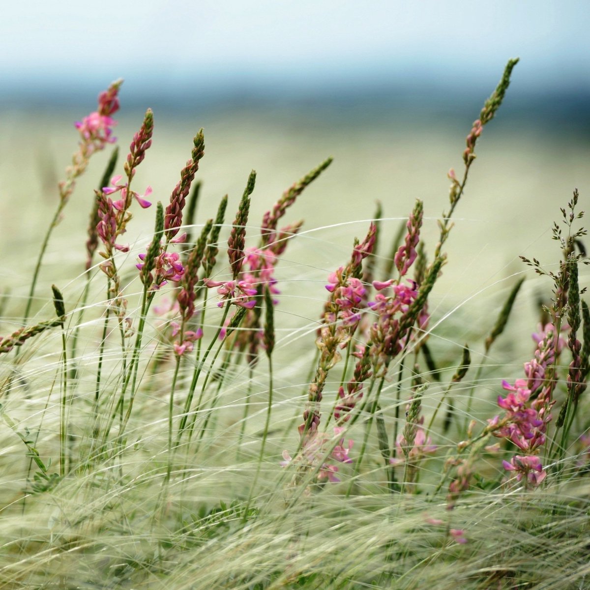 R. G. M1 🪷🌸🪷🌸🪷 (@rociogarciam1) on Twitter photo 