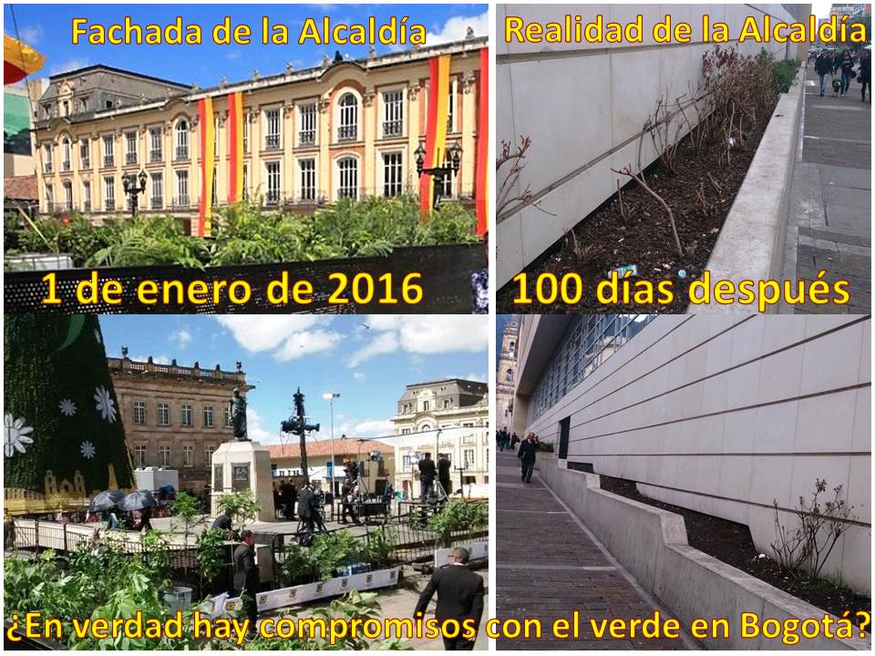 dannytovarq's tweet photo. Jardín de Alcaldía #100DíasMejoresParaTodos @AmbienteBogota valorizarlo y embellecerlo igual https://t.co/1xR7NGxA1S https://t.co/8rg0rAVYd9