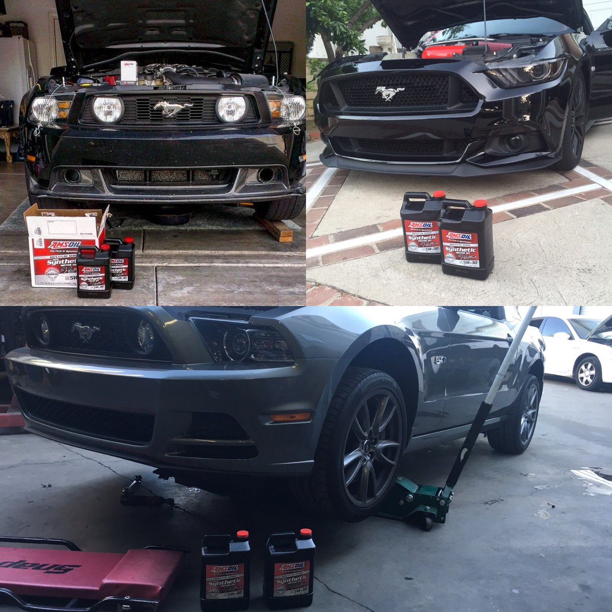 LethalStangs's tweet photo. LethalStangs on that @AMSOILINC 😏👌🏻 #LethalStangs #amsoil #mustangs #lethalstangsftw https://t.co/vEa9kNpfw1