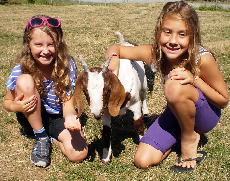 BC SPCA / BCSPCA tweet media