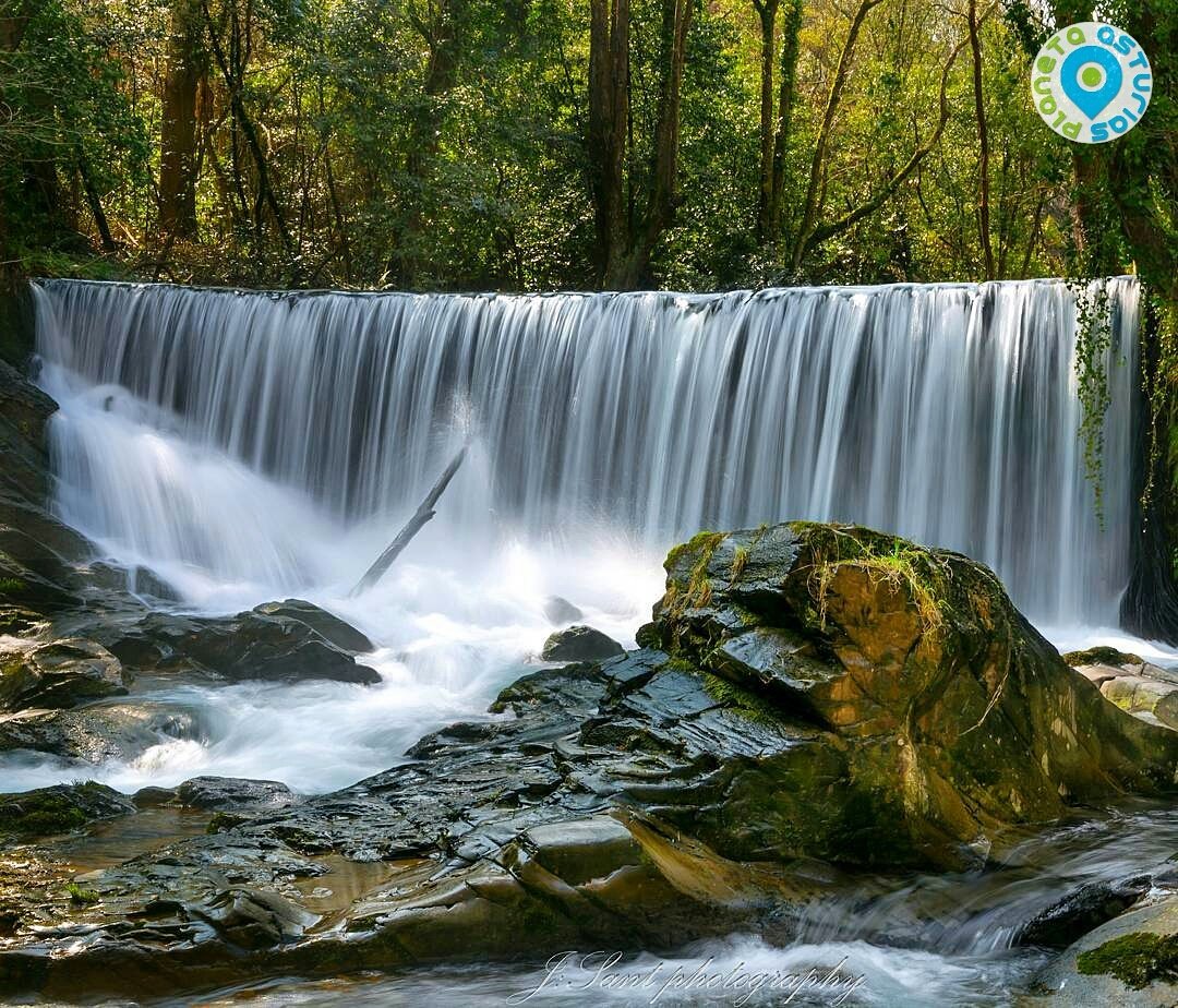planetaasturias's tweet photo. 💚 #Meredo #Asturias by lcuelebre https://t.co/Q3ZlbnBbpC