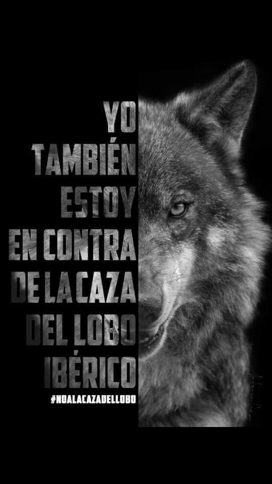 Creatividad al servicio de lo que de verdad nos importa.
¡Gracias a todos!
<a href="/Lobo_Marley/">Lobo Marley</a>