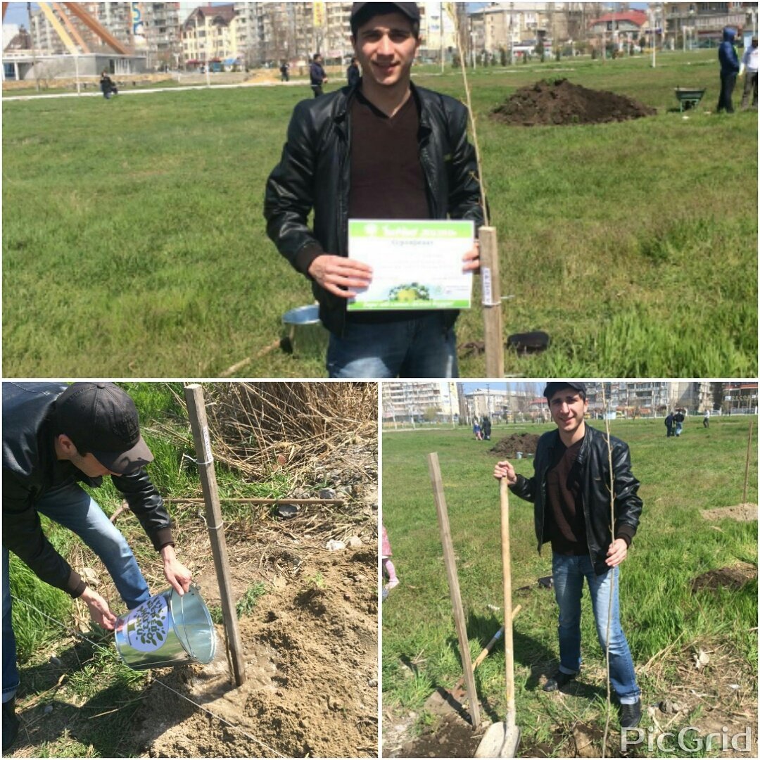 Председатель #КДМДГУ принял участие в посадке именного дерева в парке Ак-Гель по  проекту "Дерево жизни" #ДГУ