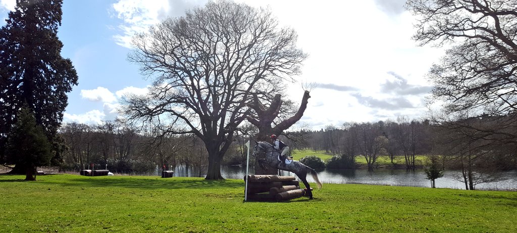 ToriAsprey84's tweet photo. Wonderful views across the parkland in the sun @BEventing @WestonParkHT #Perksofvolunteering #Giveback #FJlife https://t.co/h5VE6VBOrD