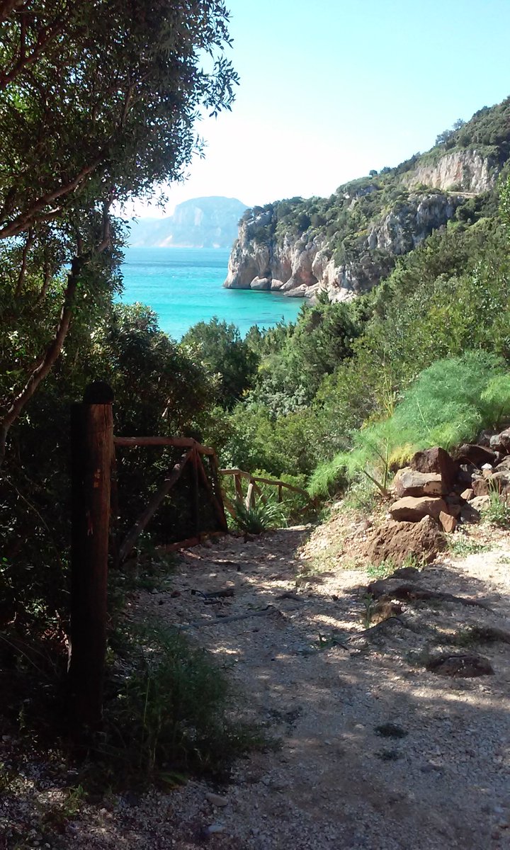 lorepira95's tweet photo. Scorci di #Sardegna #fúili #CalaGonone #CalaFuili #senzafiltri #mare #Sardinia #Dorgali #spettacolo #myhome 😎 https://t.co/h4a0TGuAna