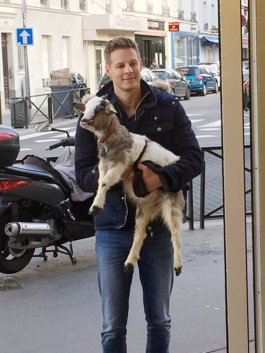 Mdelormeau's tweet photo. Rentrer dans une boulangerie avec une chèvre! Il va être long ce week-end 😝 #TPMP #tanasseduweekend #pamela https://t.co/tsOzoVJs1R