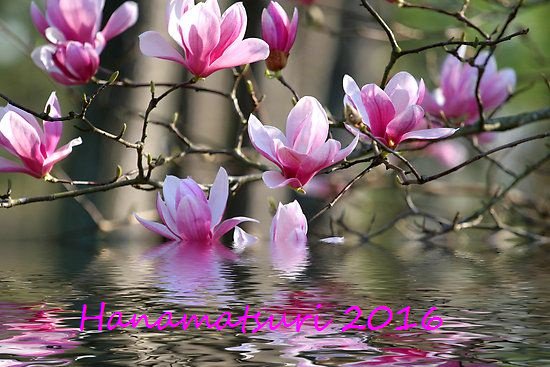 crissy02453's tweet photo. @karmapaorg I hope you and your office had a great day on the auspicious Hanamatsuri day. https://t.co/7trQ7zPU0M