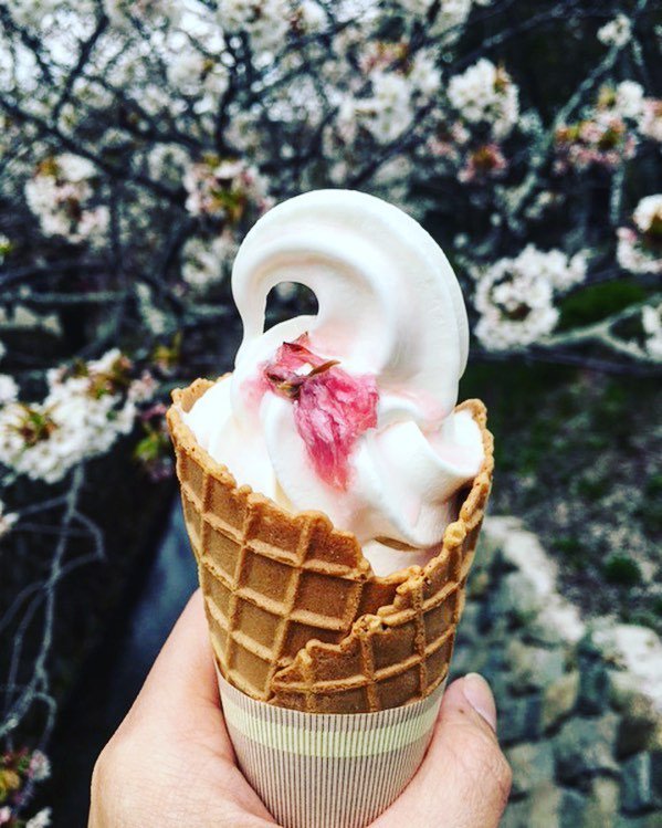 biteunite's tweet photo. Life is prettttty sweet ππ¦ππΈ β’
#biteuniteme #icecream #japan #dessert #sakura #hkig #hkig⦠https://t.co/jfccsBxeRX https://t.co/NLBlgC5ft1