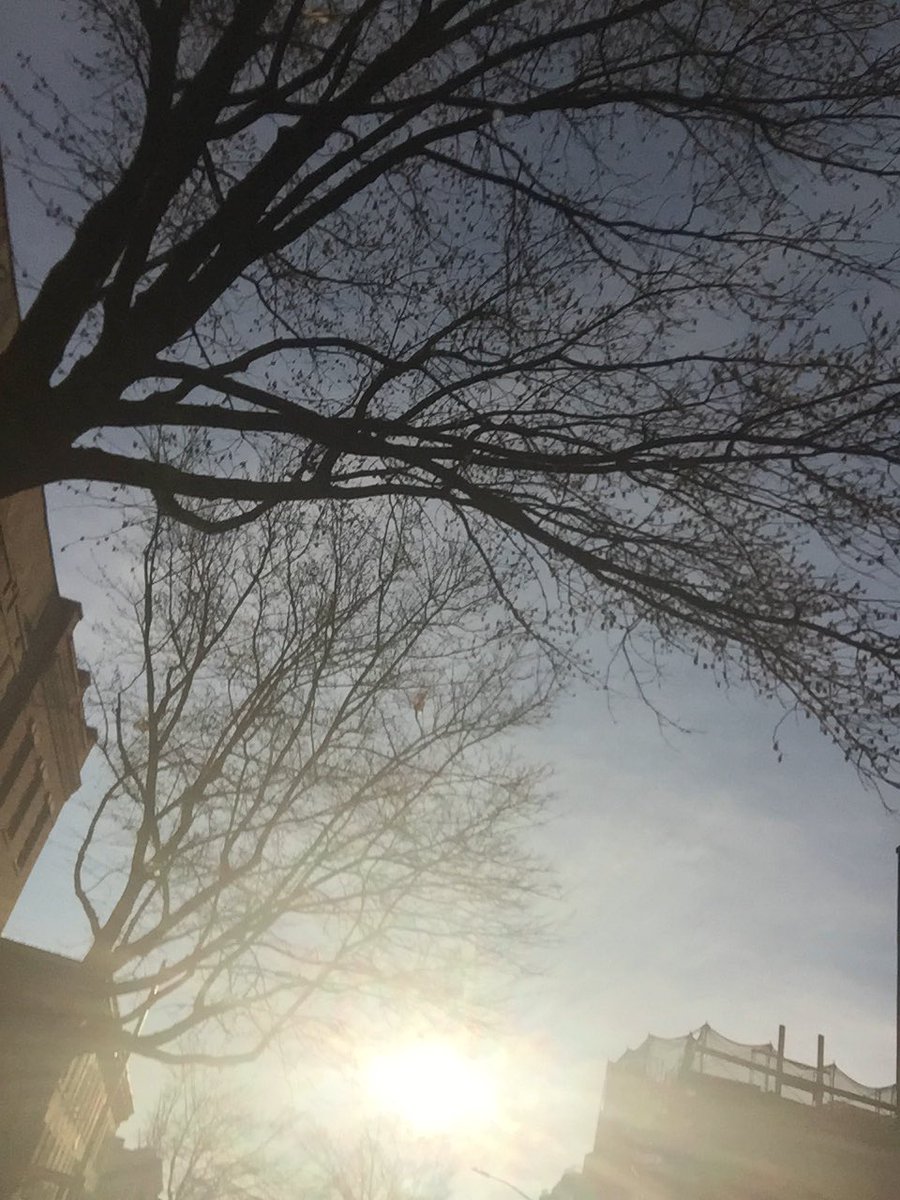 FLNationalLL's tweet photo. The sun is shining bright for an awesome opening day at Fort Lee National Field! Come see all our players! #FLNLL https://t.co/Os0tQv1uoM