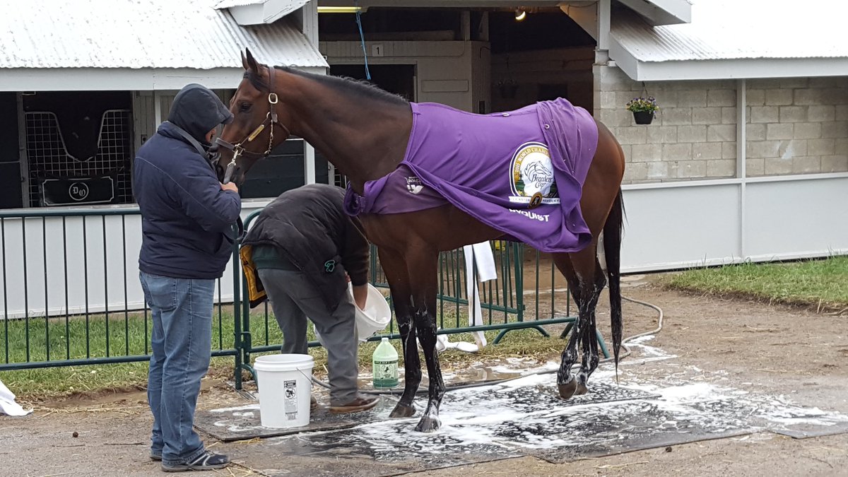ClaireECrosby's tweet photo. Just for you @DRFPrivman #bathshot #remarkablycomposed https://t.co/NmJRiKQCrD