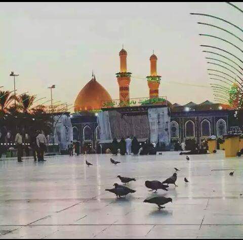 سجده بحظرتك مولآي

تنسيني كل همومي 

#يا_عباس_ع