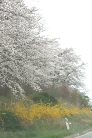 선우숙자 (@sws18028) on Twitter photo 