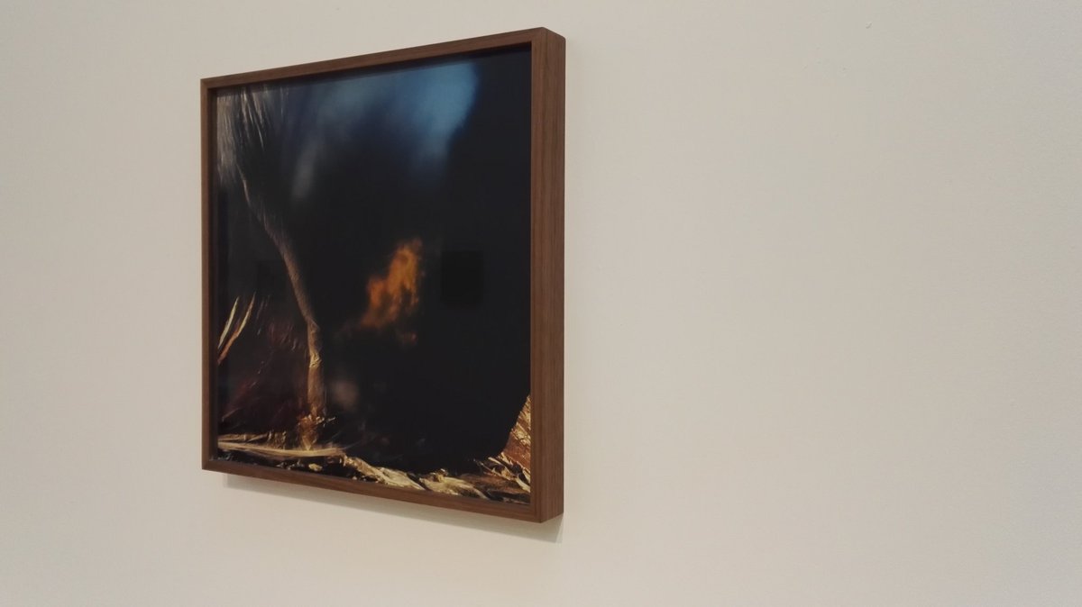 Chloë L tweet media