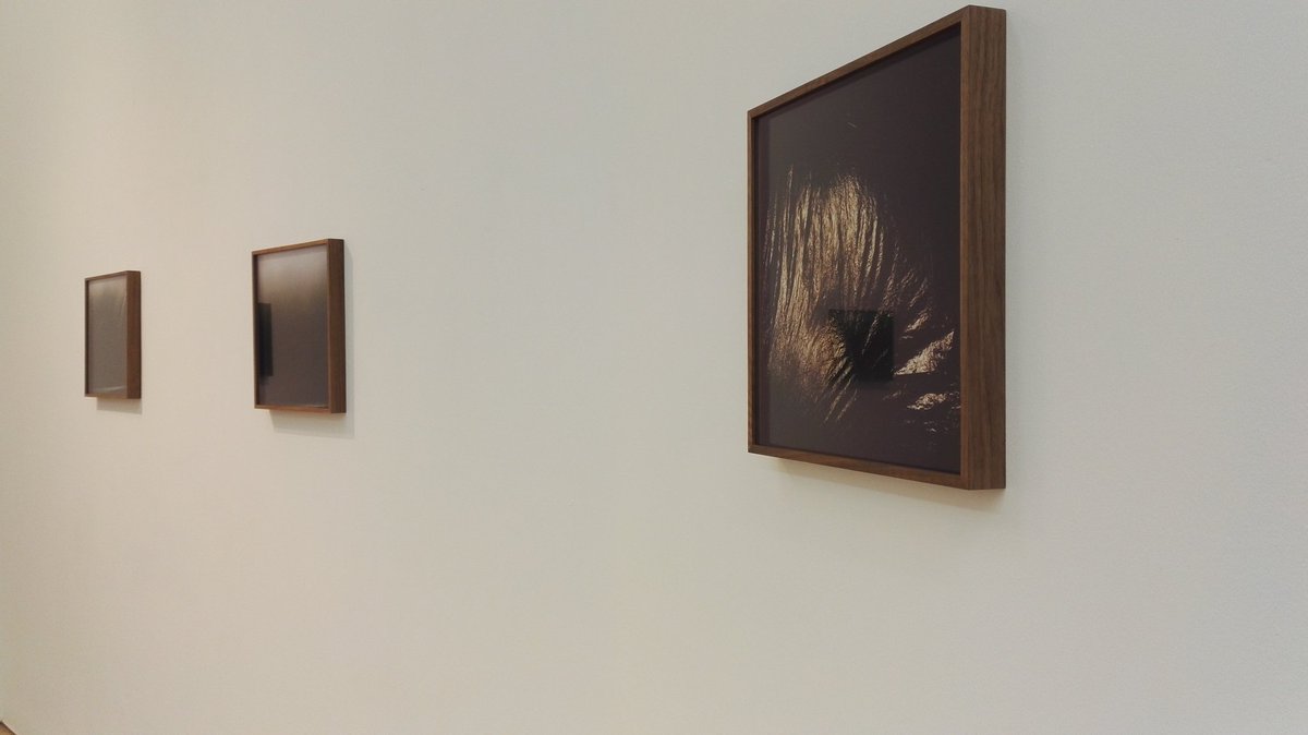 Chloë L tweet media