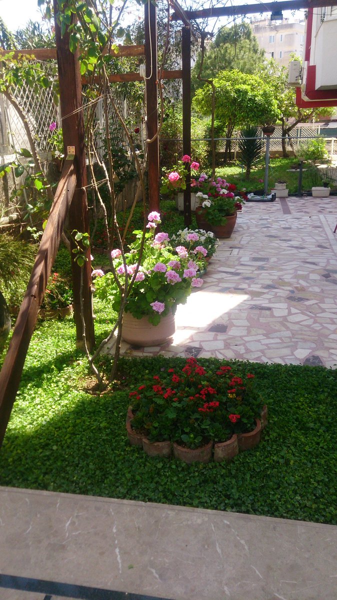 NEZİH ERKAN (@nezherkan) on Twitter photo 