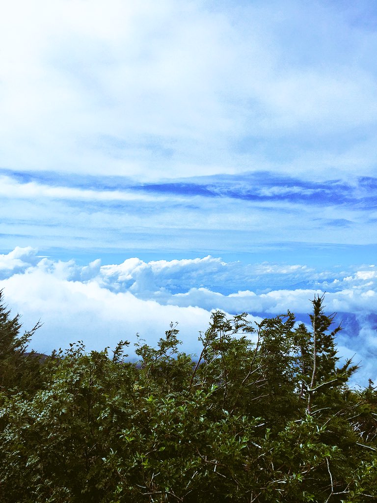 Anpinis's tweet photo. ✌️ https://t.co/fZJpqC0Yzc