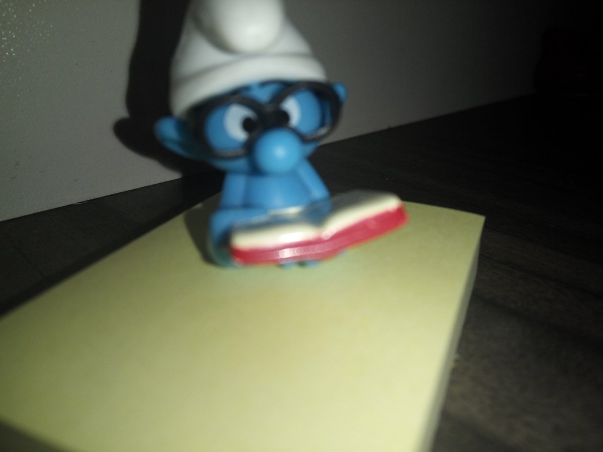 MeriemMkhinini's tweet photo. @HaifaFtirich This #weirdone keeps me company ! #grateful https://t.co/mqpVb3UqwY