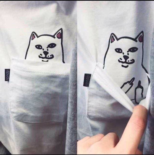 RedditFunnny's tweet photo. When someone tries to steal a pen from your top pocket. https://t.co/YmctXWIGYb