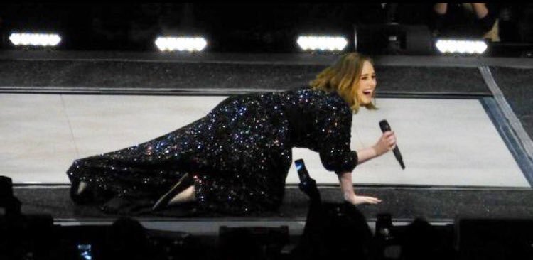 adelereactions's tweet image. What ppl think Adele does during her shows vs what she actually does