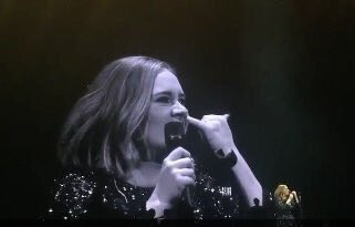 adelereactions's tweet image. What ppl think Adele does during her shows vs what she actually does