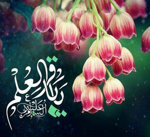 elh__aim's tweet photo. اللهم صل على محمد وال محمد نبارك للامام المهدي عج ولشيعة امير المؤمنين مولد اﻻمام محمد بن علي الباقر عليه السلام♡♡♥♥ https://t.co/9uQKyN9jEK