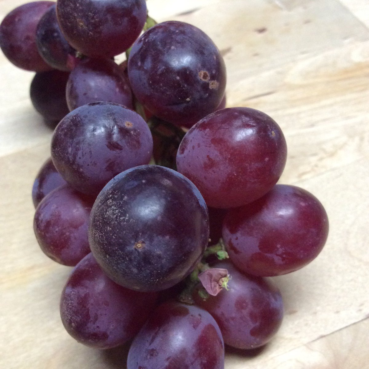 eatcookgrow's tweet image. #Blizzard in #April?
#PittsburghProblems 
Spend #Spring Indoors with #GRAPES
#FoodPorn #PlantBased #Vegan #ecoRDN
