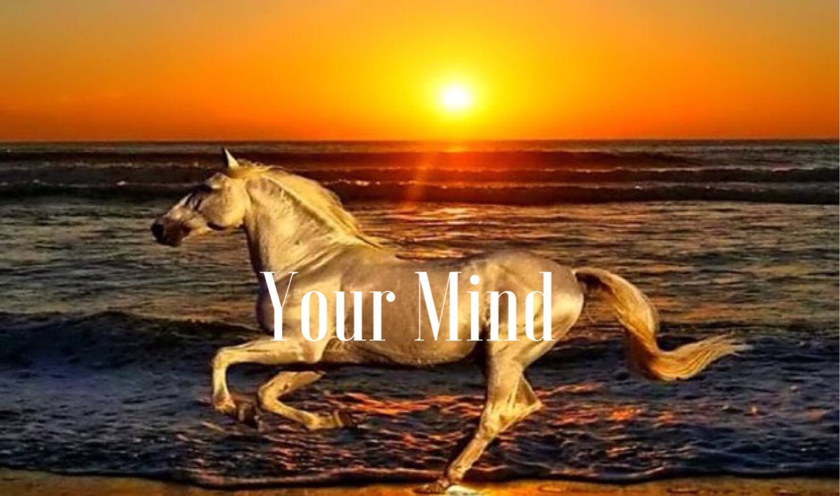 themedexp's tweet photo. #calmmind #mindfull #peaceofmind #mindfulness #mindaware #calmthoughts #thinkless #meditation https://t.co/051TIMSymq