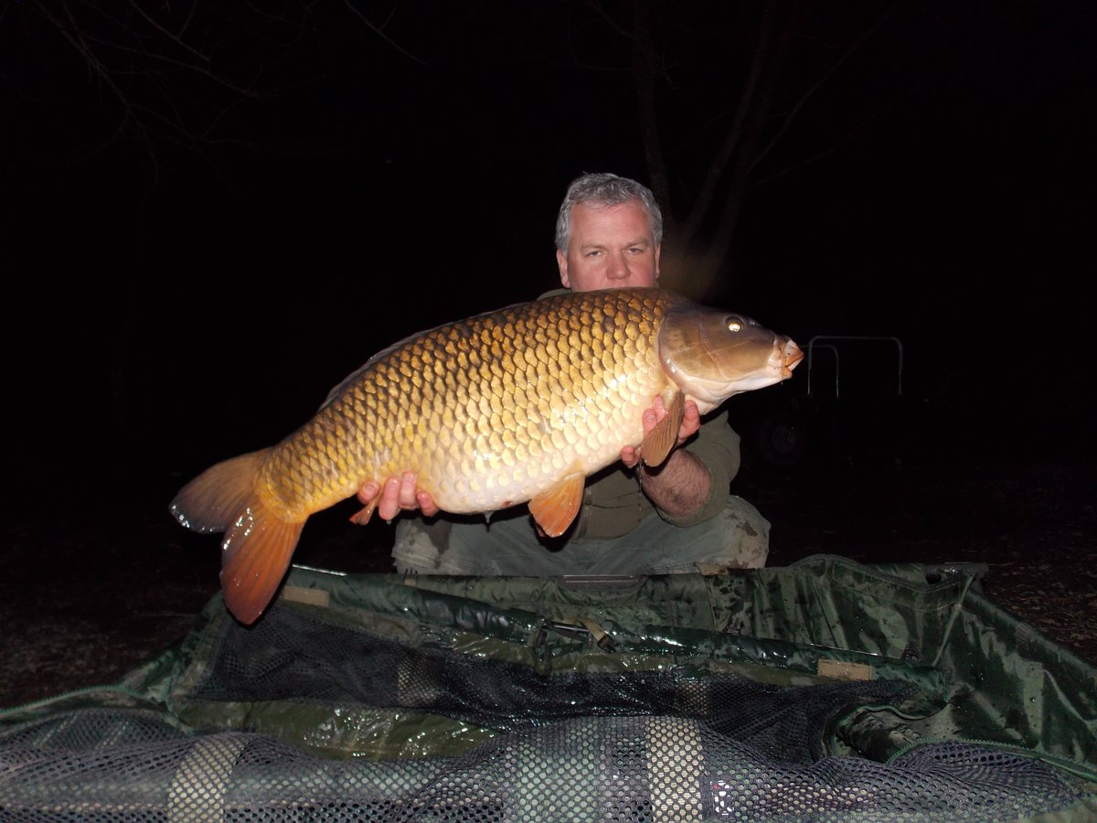 MenardsFishery's tweet photo. Charlie Cowburn 33lb gold bar of a common https://t.co/k9KOlbtr1n