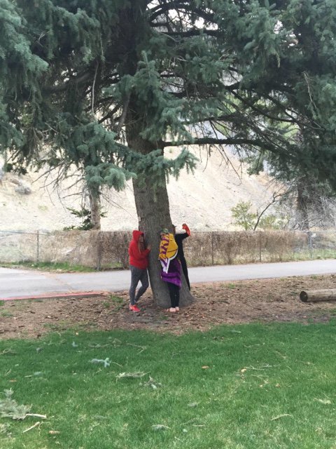 questivaledl's tweet photo. Blue Spruce Springsteen. Say that 10 times fast. #edl #QSLC #Questival https://t.co/WR7nA1DYFf