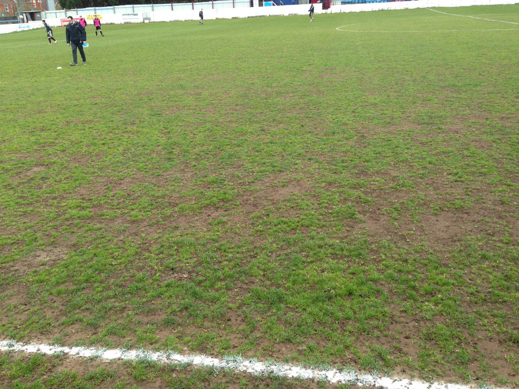 slimbridgeafc's tweet image. Looks like it might be a #bitbumpy