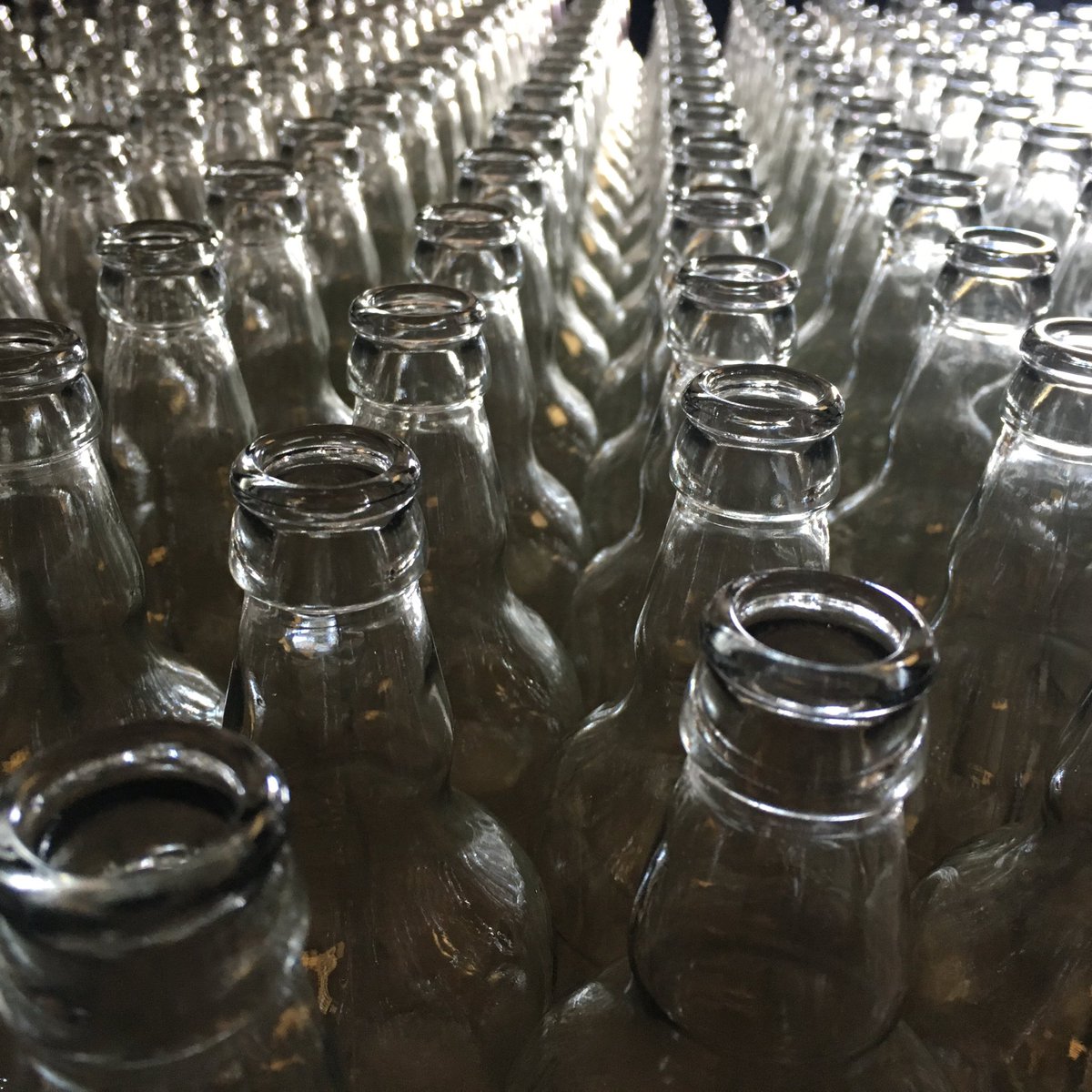 CambridgeCider's tweet photo. Bottling @TCOFCO #WelhamWindfall today and our own #angrywasp https://t.co/18UKwoDmLy